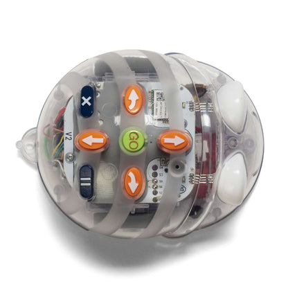 TTS Blue-Bot© Programmable Floor Robot